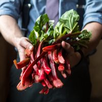 Thumnail version for full version of Person holding a bunch of swiss chard.